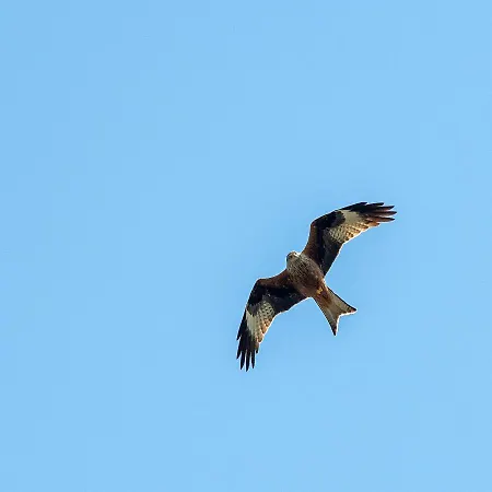 Paraiso D14 By Bookmenorcavillas 빌라 *