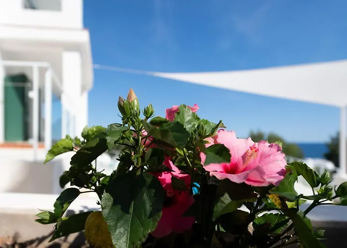 Paraiso D14 By Bookmenorcavillas Willa