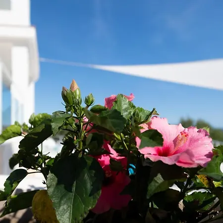 Paraiso D14 By Bookmenorcavillas Vila