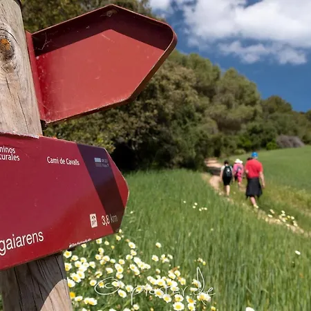 Paraiso D14 By Bookmenorcavillas Santo Tomás