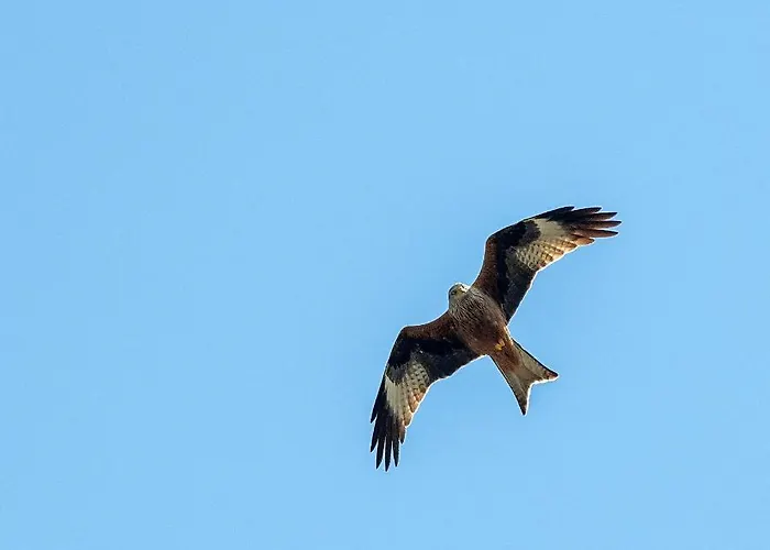 Paraiso D14 By Bookmenorcavillas Vila *